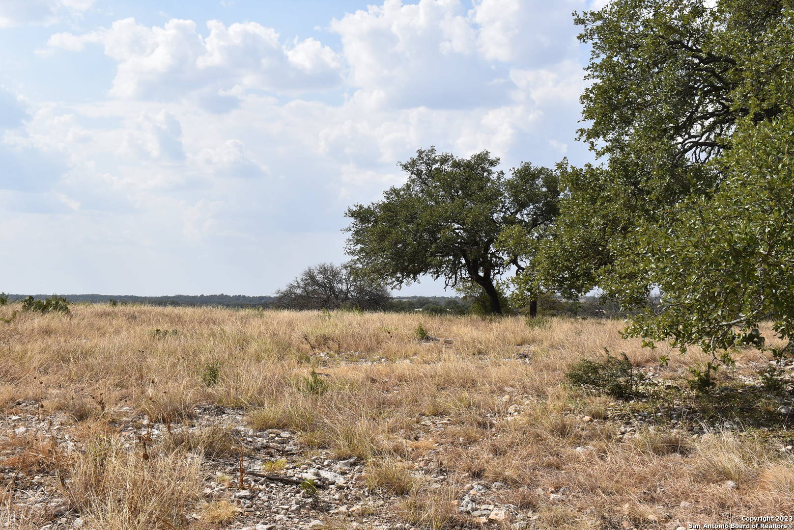 000 Cattlemans Crossing Drive Kerrville TX 78028