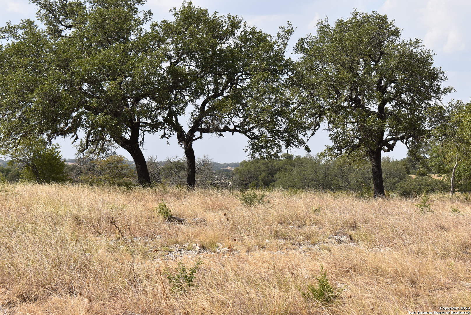 000 Cattlemans Crossing Drive Kerrville TX 78028