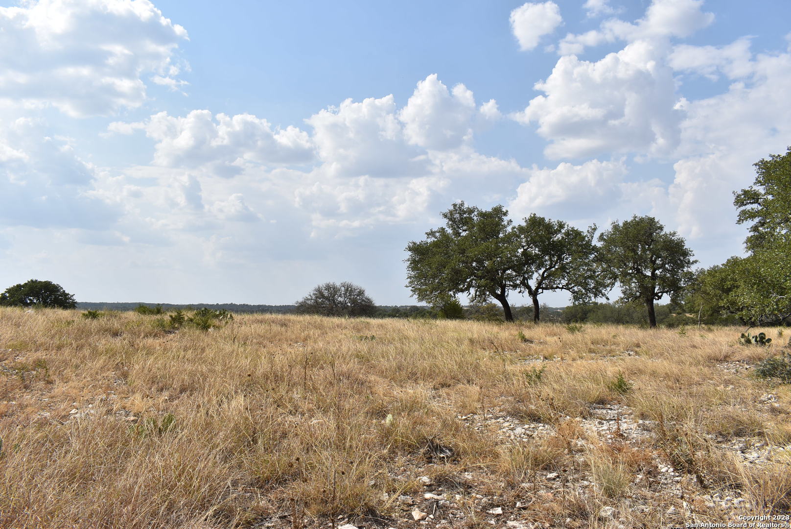 000 Cattlemans Crossing Drive Kerrville TX 78028