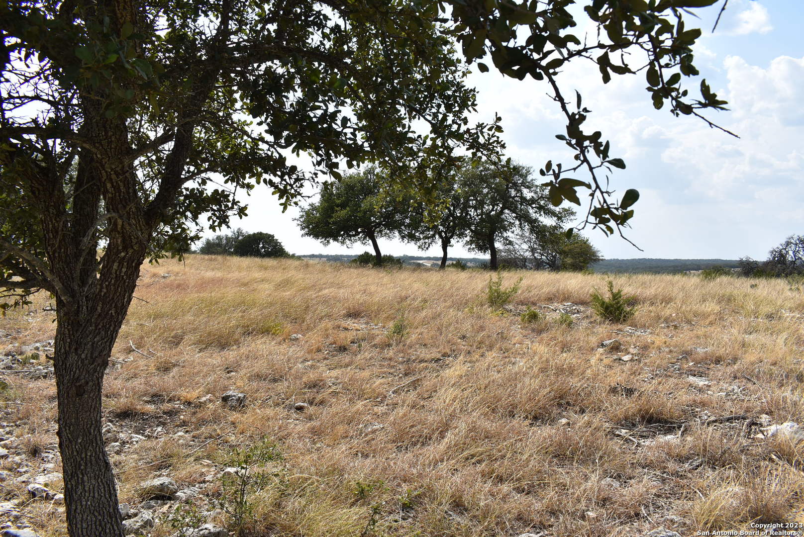 000 Cattlemans Crossing Drive Kerrville TX 78028