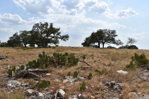 000 Cattlemans Crossing Drive Kerrville TX 78028