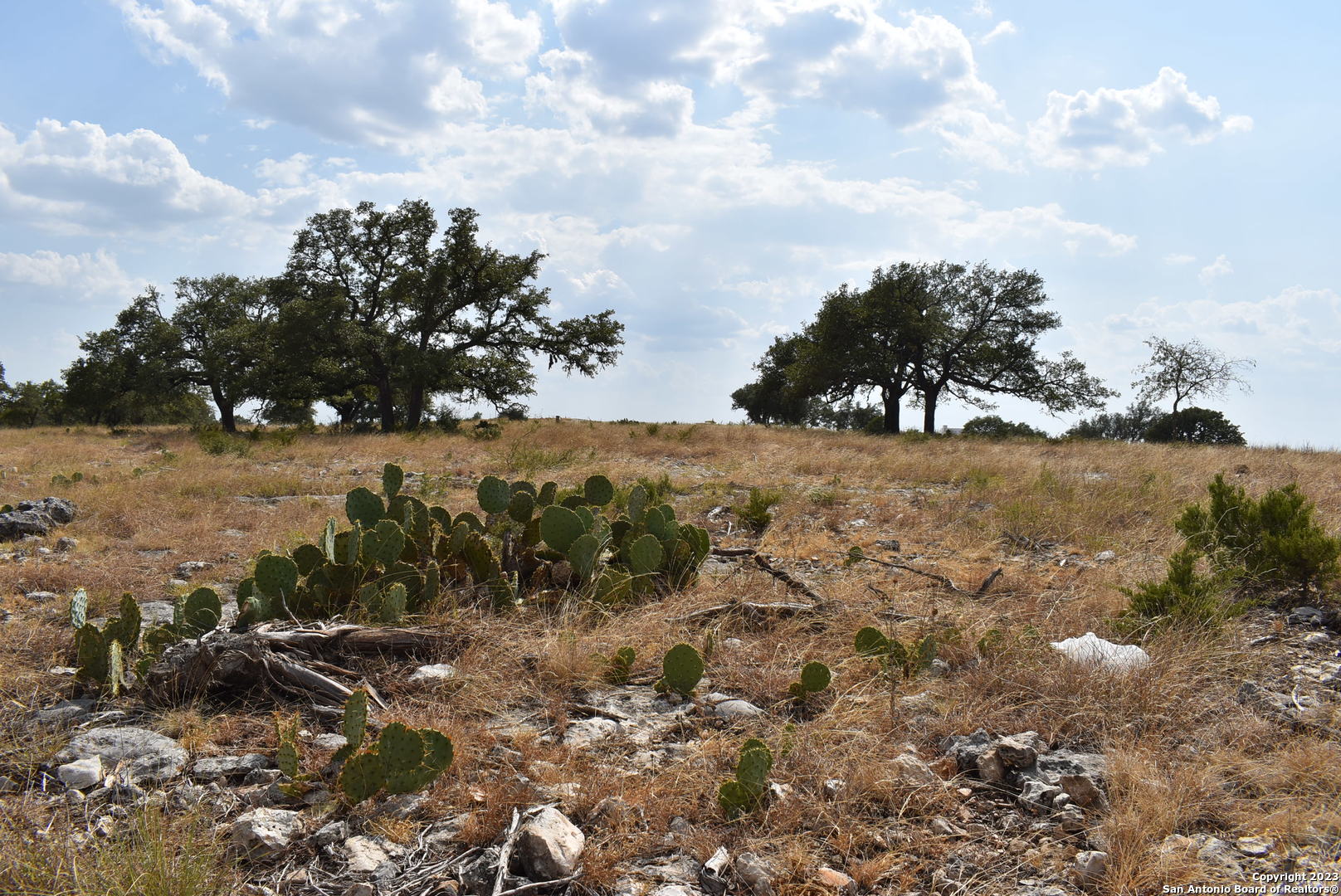000 Cattlemans Crossing Drive Kerrville TX 78028
