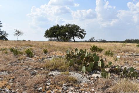 000 Cattlemans Crossing Drive Kerrville TX 78028