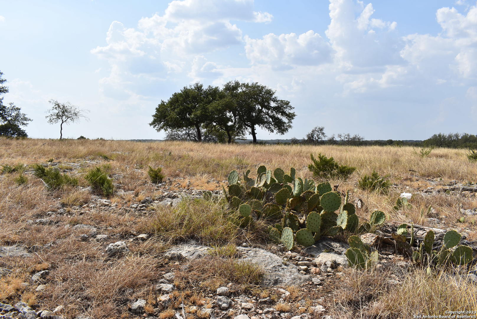 000 Cattlemans Crossing Drive Kerrville TX 78028