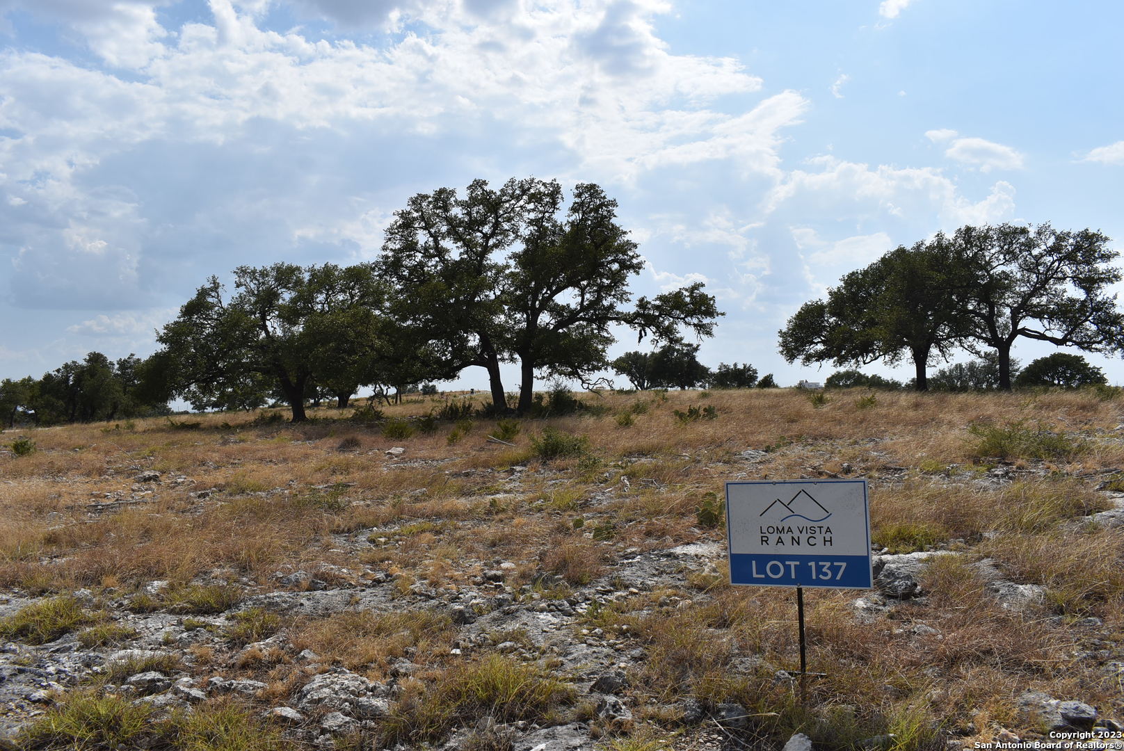 000 Cattlemans Crossing Drive Kerrville TX 78028