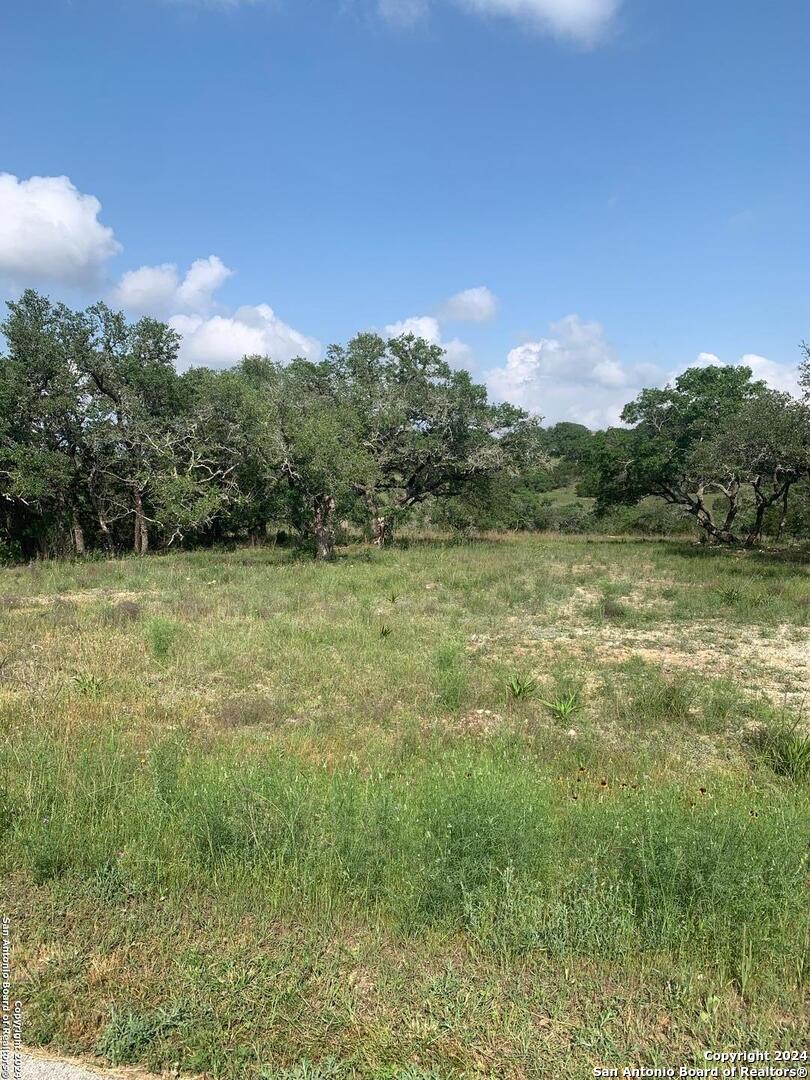 136 Gadwall Way Spring Branch TX 78070