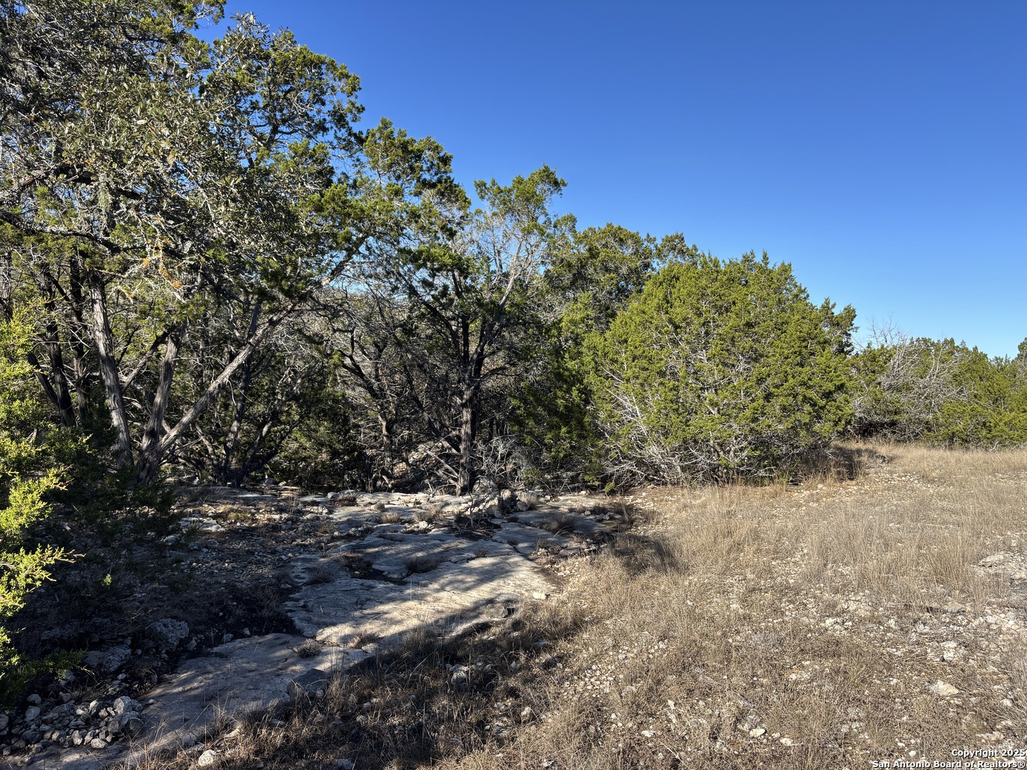 Lot 98 Palomino Springs Bandera TX 78003