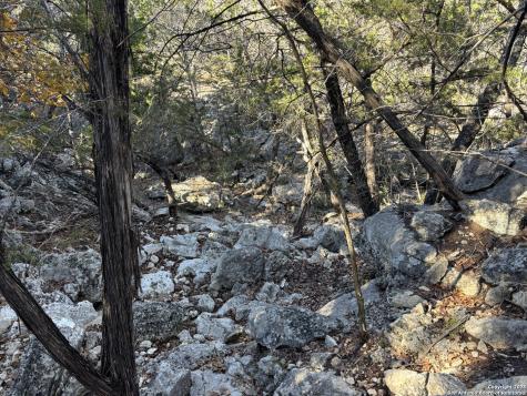 Lot 98 Palomino Springs Bandera TX 78003