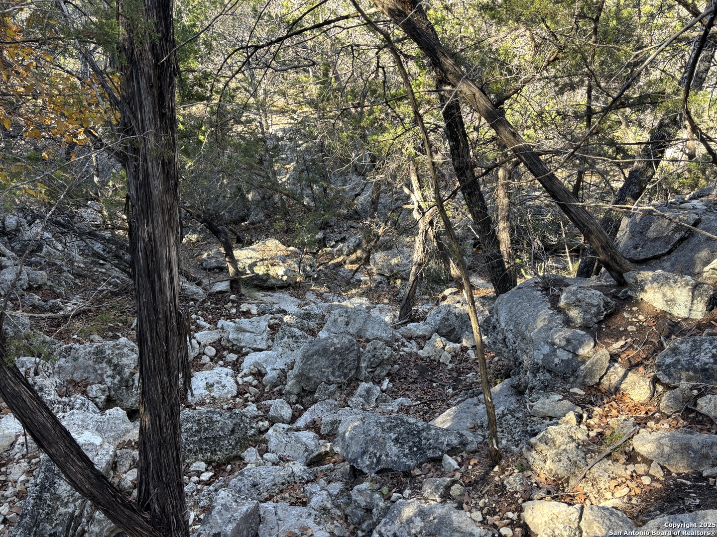 Lot 98 Palomino Springs Bandera TX 78003