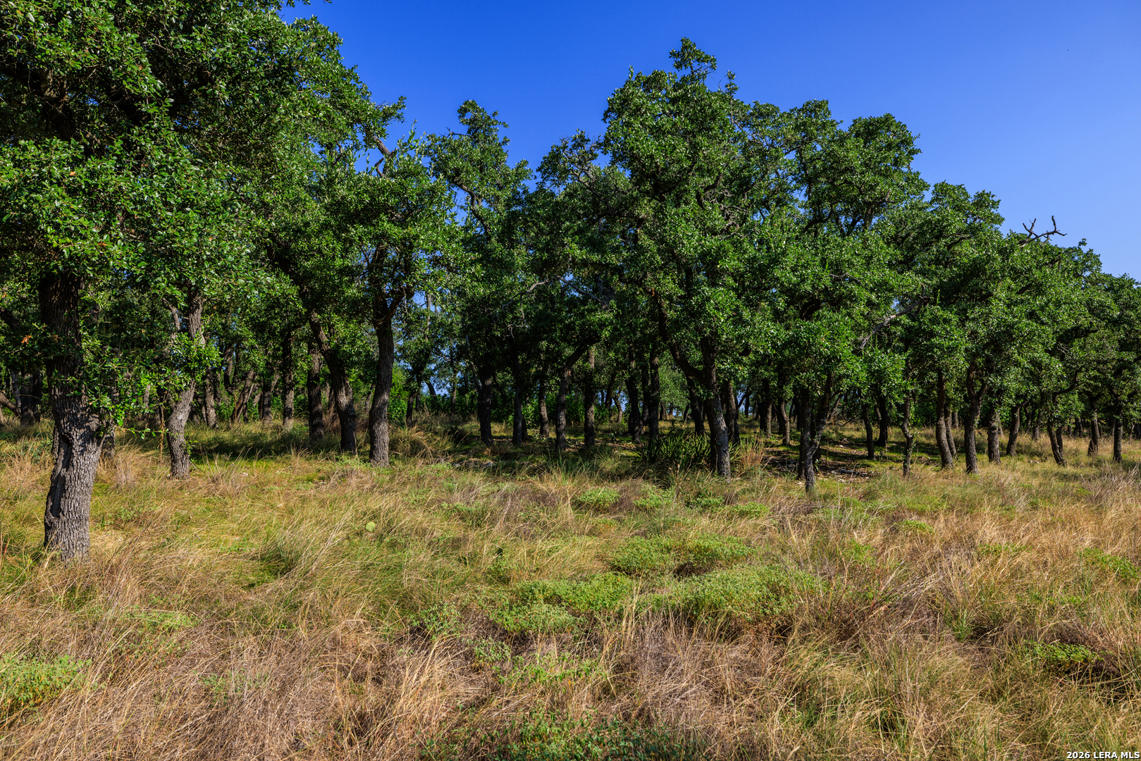 00 Ranch Road 965 Fredericksburg TX 78624