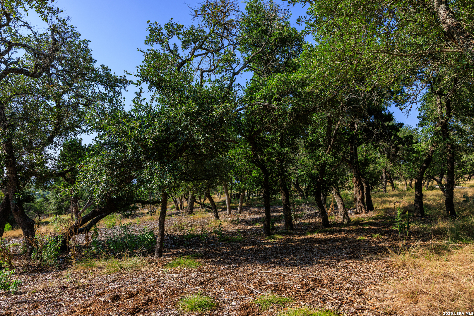 00 Ranch Road 965 Fredericksburg TX 78624