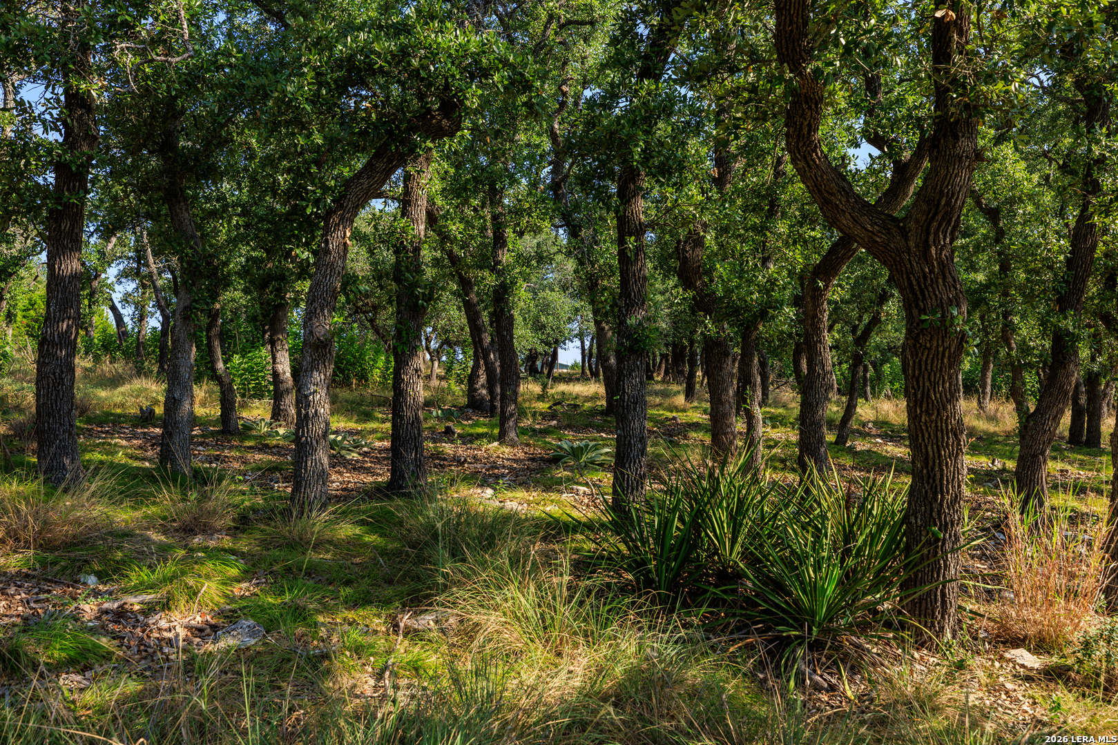 00 Ranch Road 965 Fredericksburg TX 78624