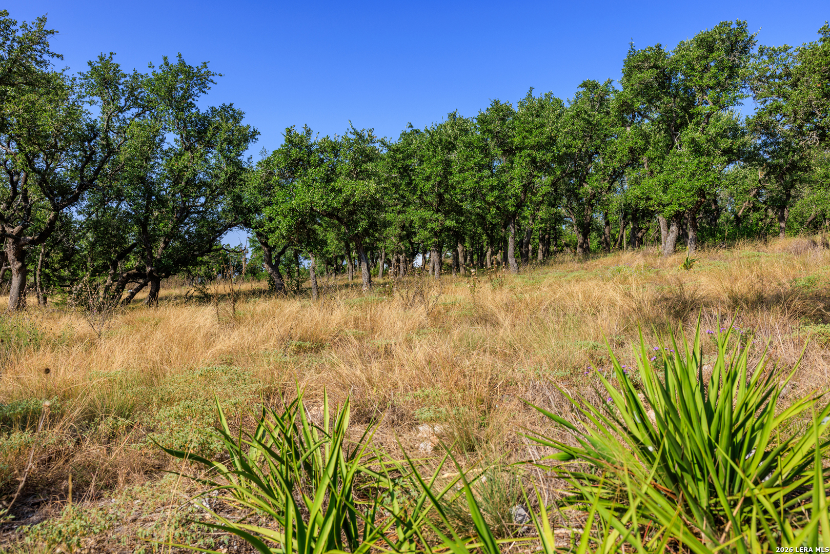 00 Ranch Road 965 Fredericksburg TX 78624