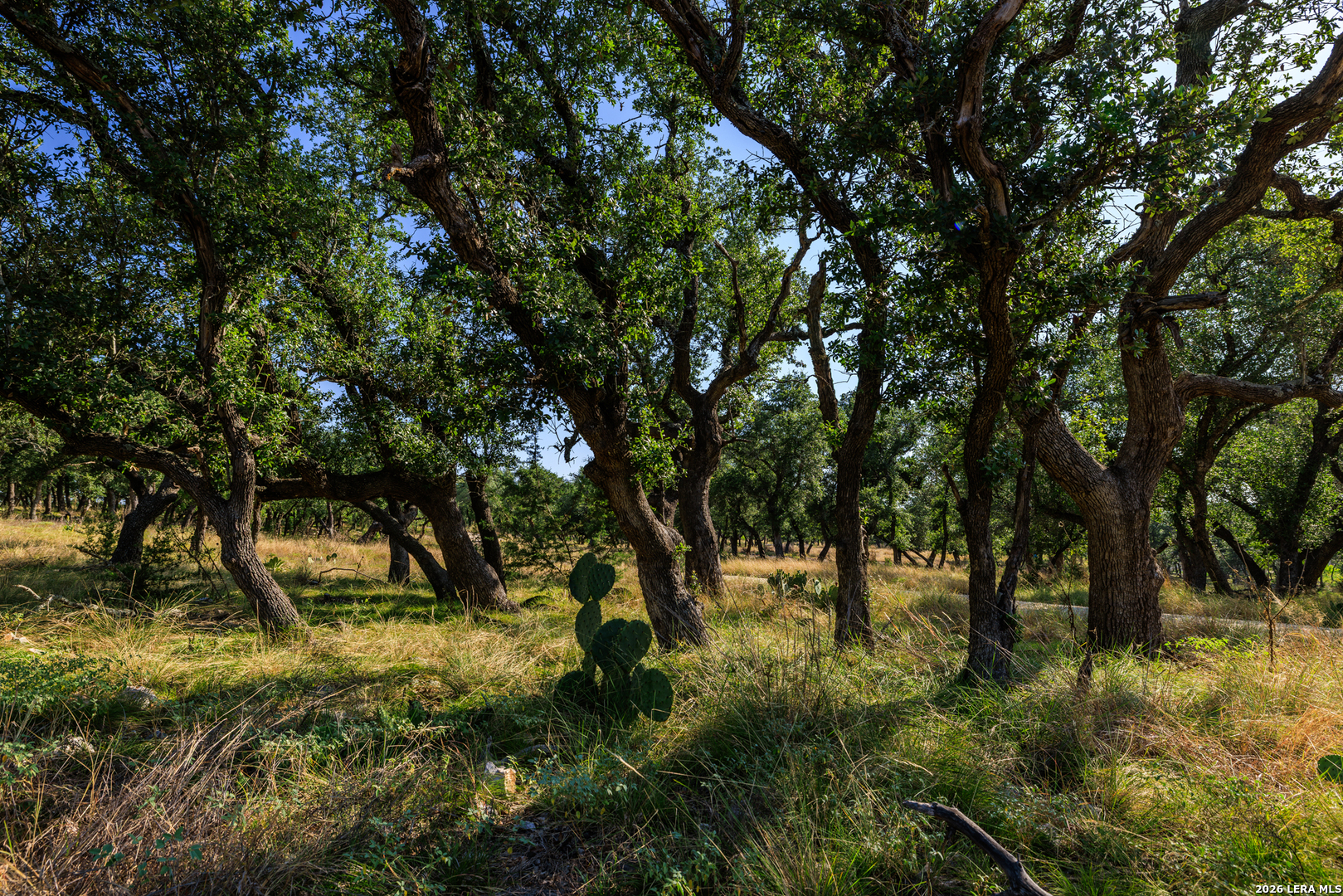 00 Ranch Road 965 Fredericksburg TX 78624