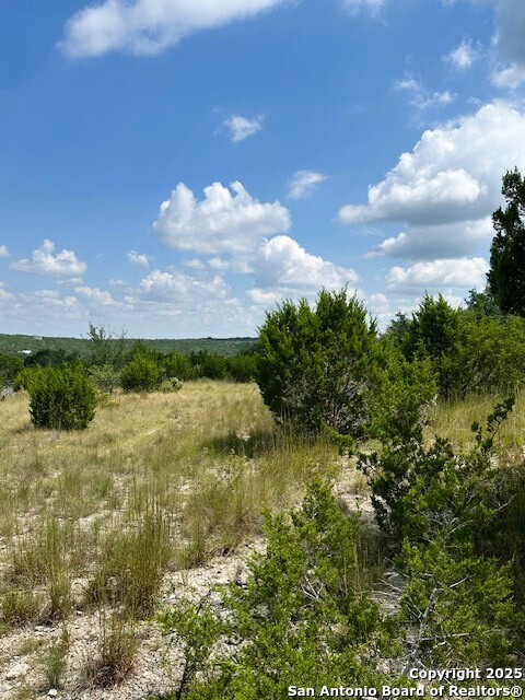 Tbd Lot 1 Soaring Eagle Fischer TX 78623