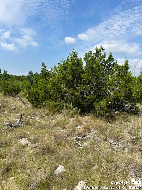 Tbd Lot 1 Soaring Eagle Fischer TX 78623