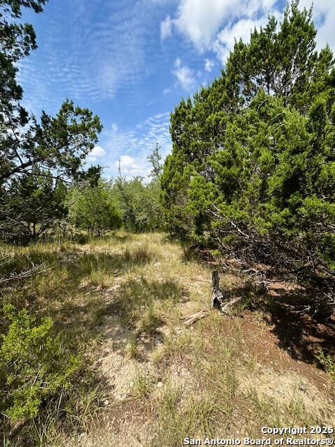 Tbd Lot 1 Soaring Eagle Fischer TX 78623