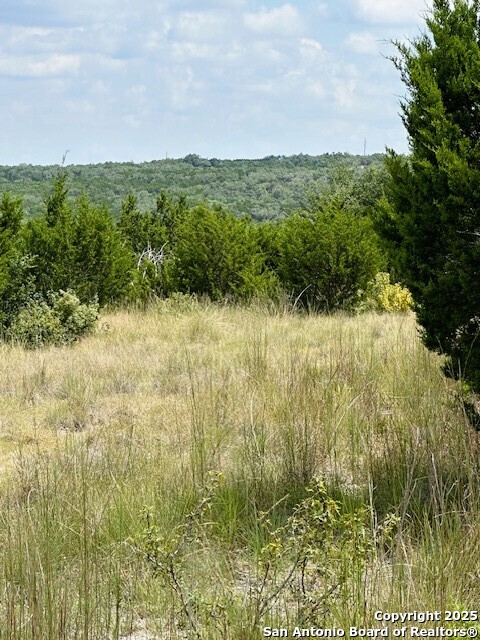 Tbd Lot 1 Soaring Eagle Fischer TX 78623