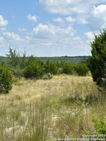 Tbd Lot 1 Soaring Eagle Fischer TX 78623
