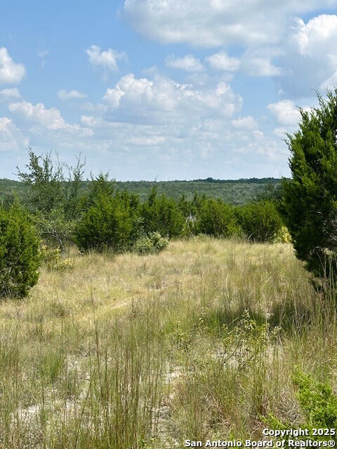 Tbd Lot 1 Soaring Eagle Fischer TX 78623