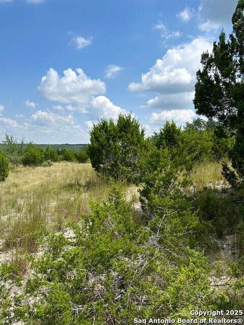 Tbd Lot 1 Soaring Eagle Fischer TX 78623