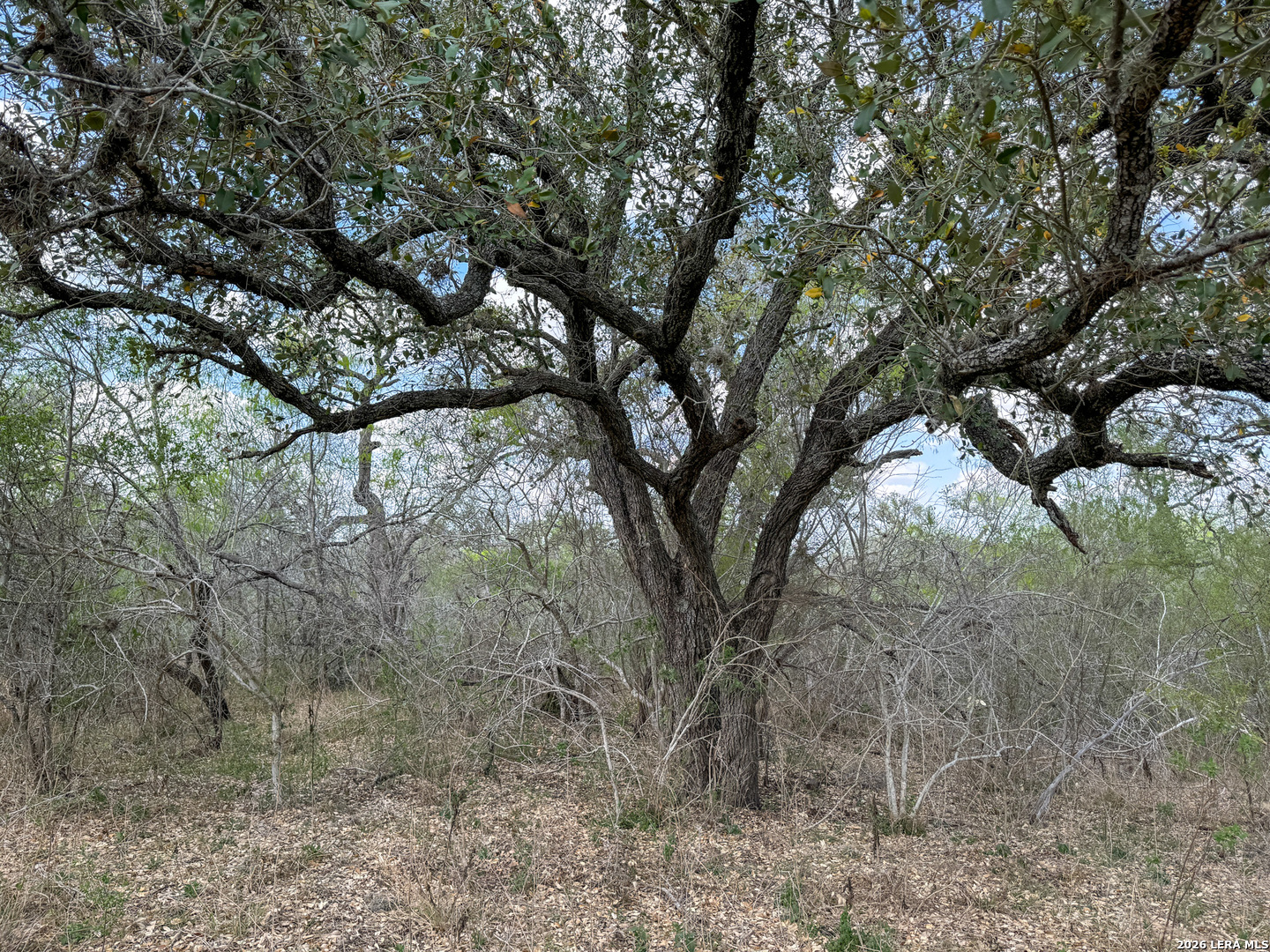 8251 County Road 106 Beeville TX 78102