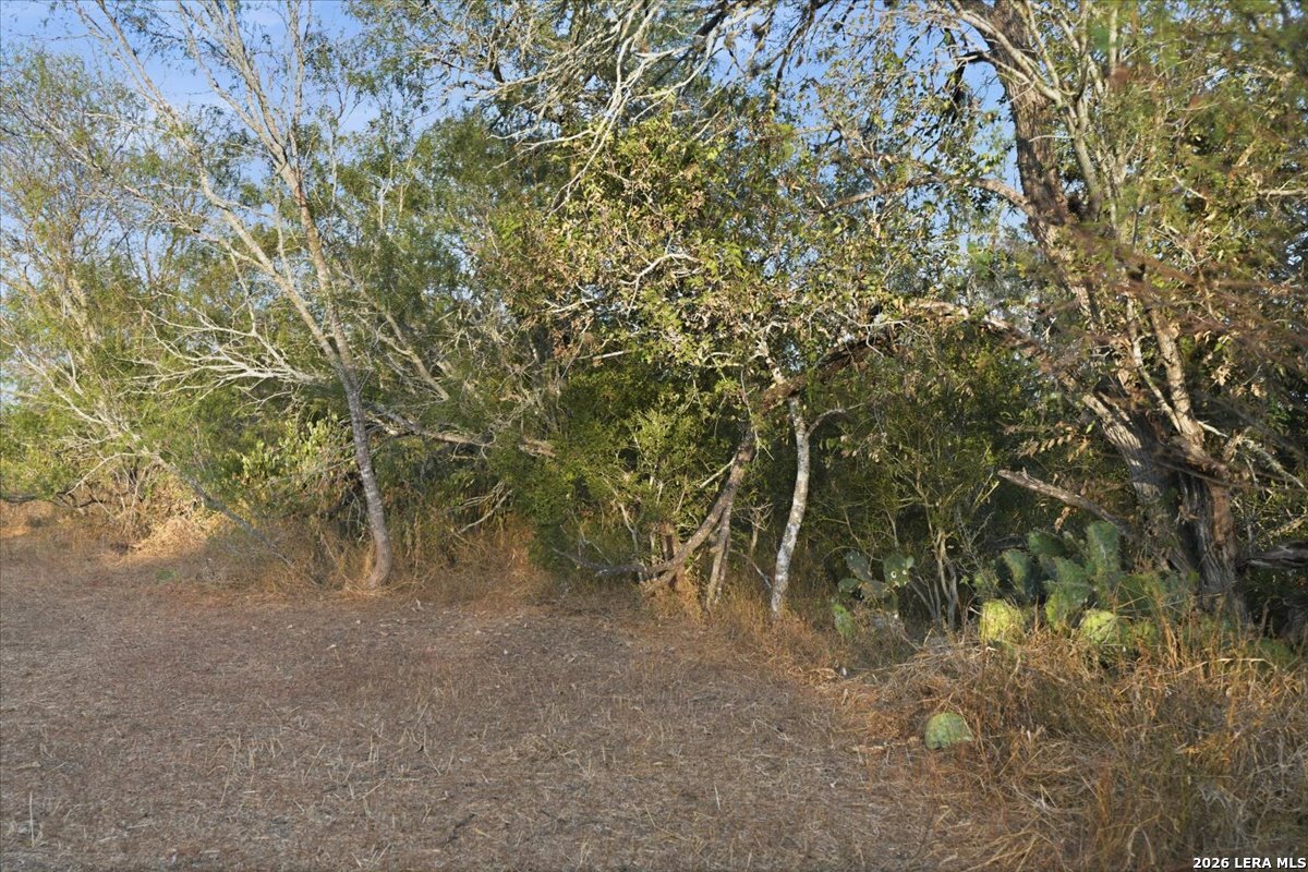 8251 County Road 106 Beeville TX 78102