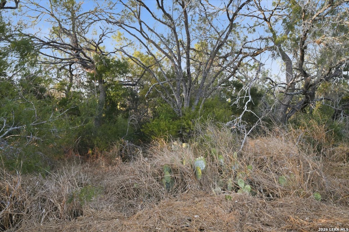 8251 County Road 106 Beeville TX 78102