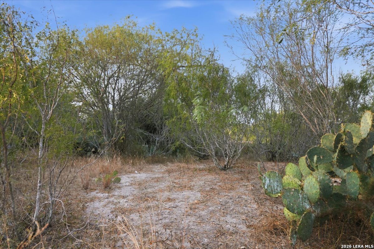 8251 County Road 106 Beeville TX 78102