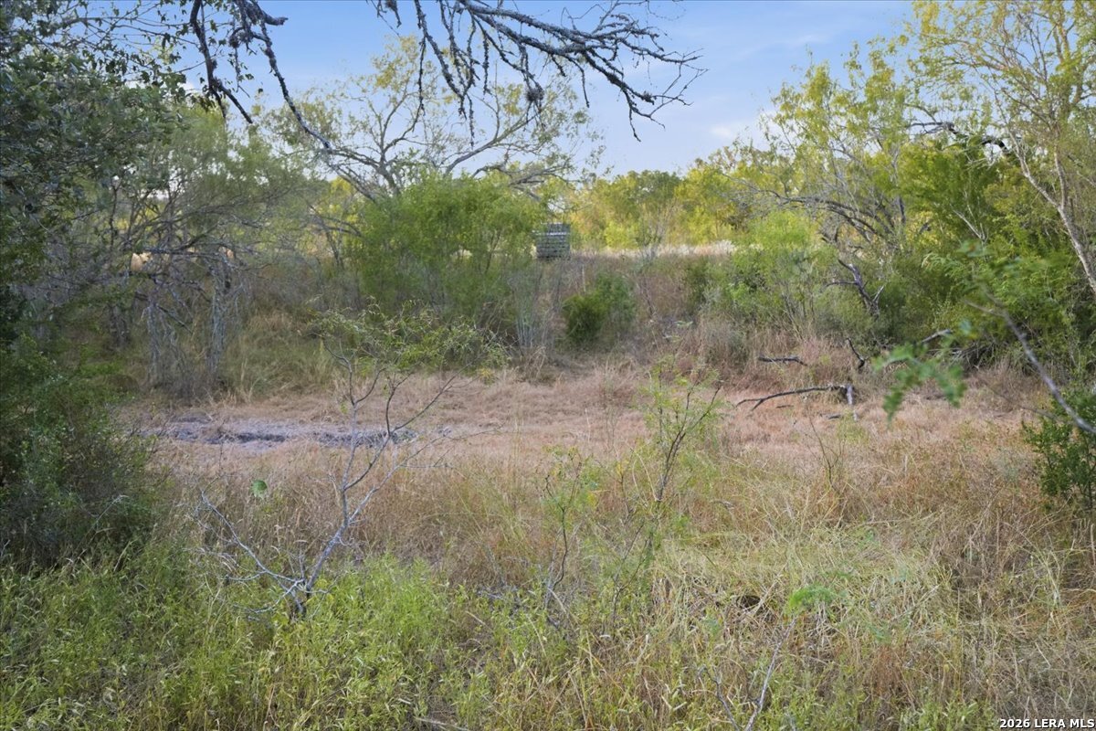 8251 County Road 106 Beeville TX 78102