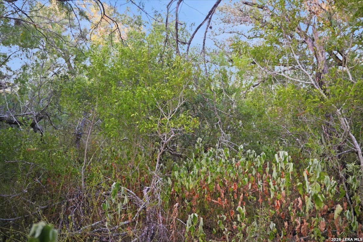 8251 County Road 106 Beeville TX 78102