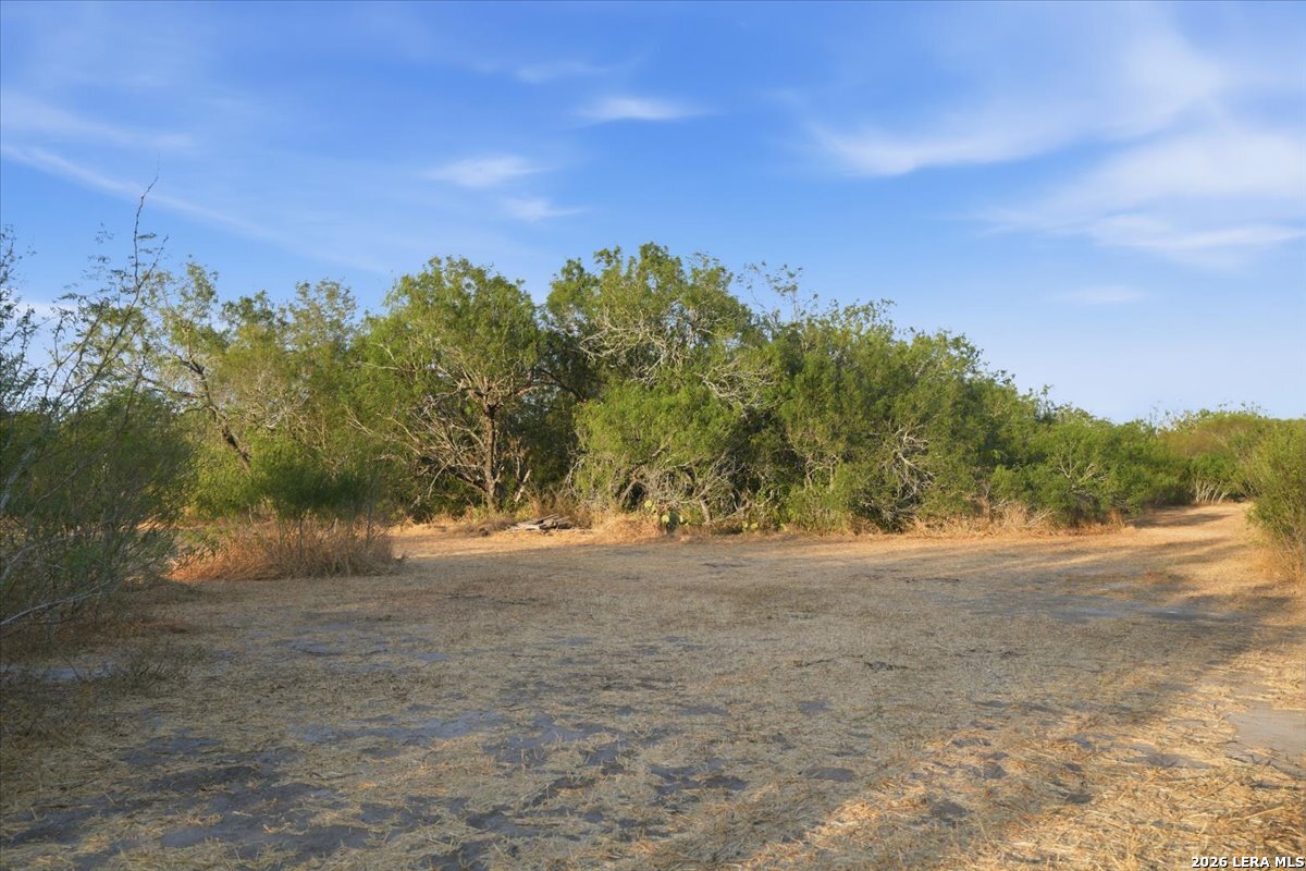 8251 County Road 106 Beeville TX 78102