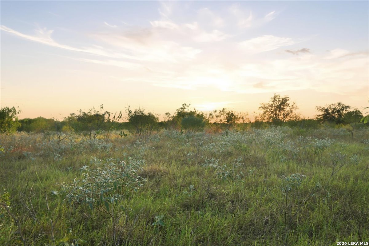 8251 County Road 106 Beeville TX 78102