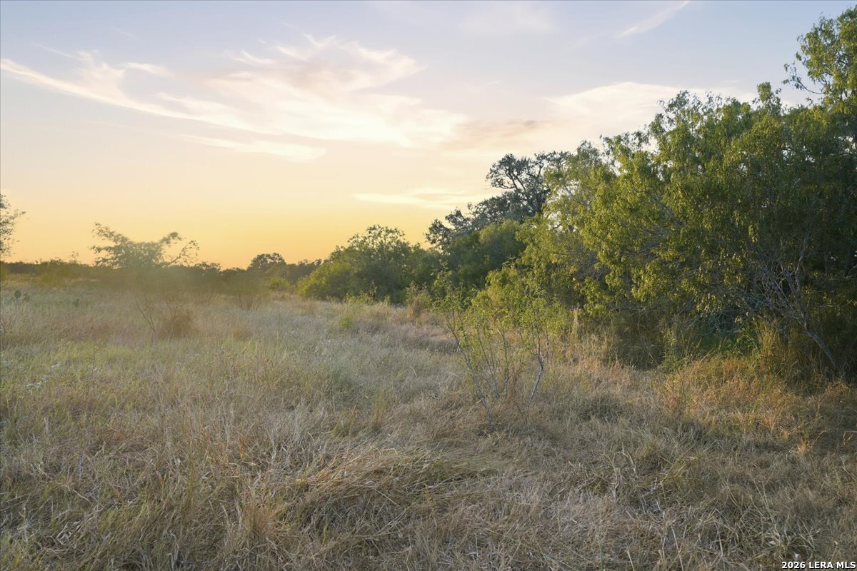 8251 County Road 106 Beeville TX 78102