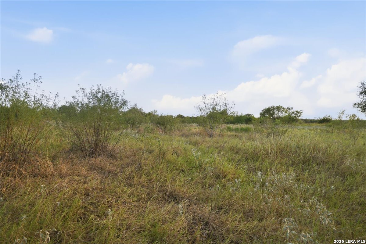 8251 County Road 106 Beeville TX 78102