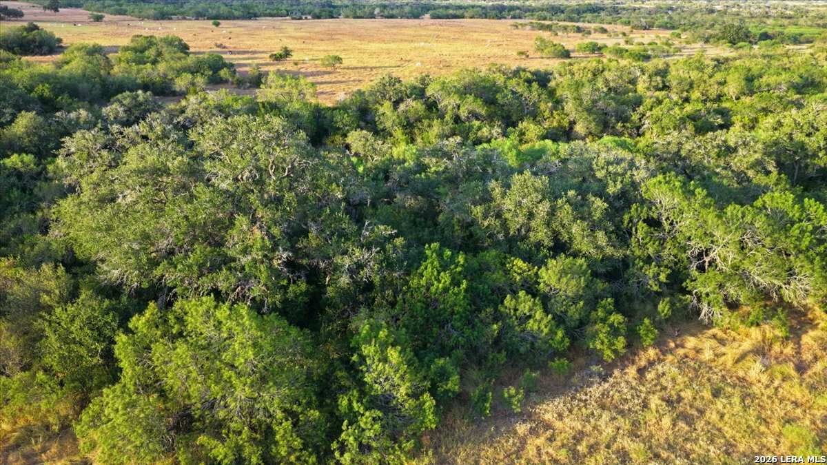 8251 County Road 106 Beeville TX 78102