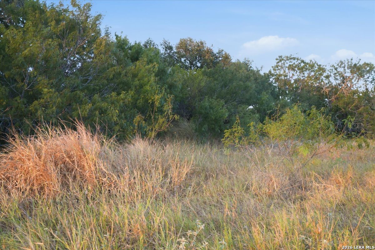 8251 County Road 106 Beeville TX 78102