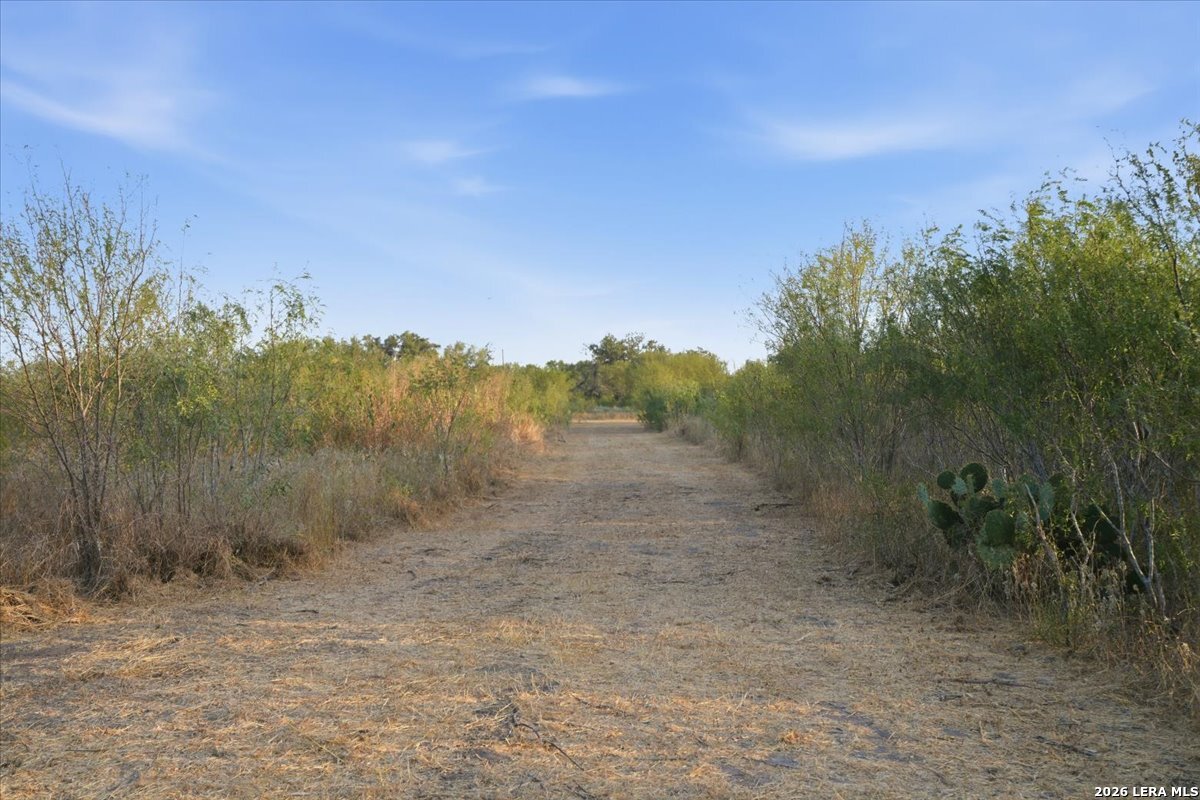 8251 County Road 106 Beeville TX 78102