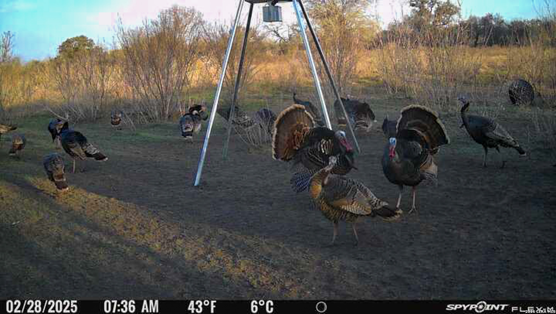 8251 County Road 106 Beeville TX 78102