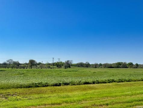 10045 Panther Creek Drive Iola TX 77861