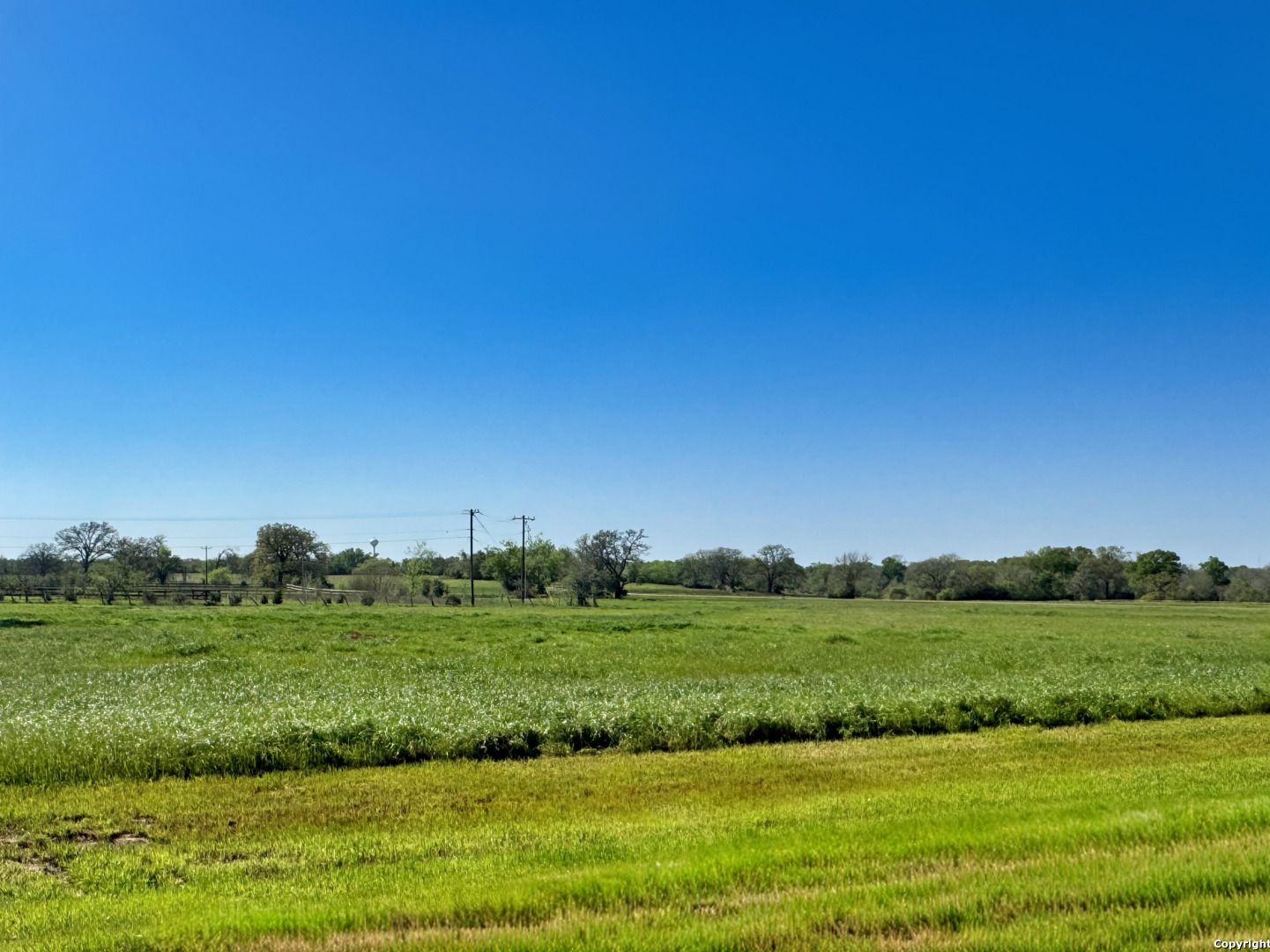 10045 Panther Creek Drive Iola TX 77861