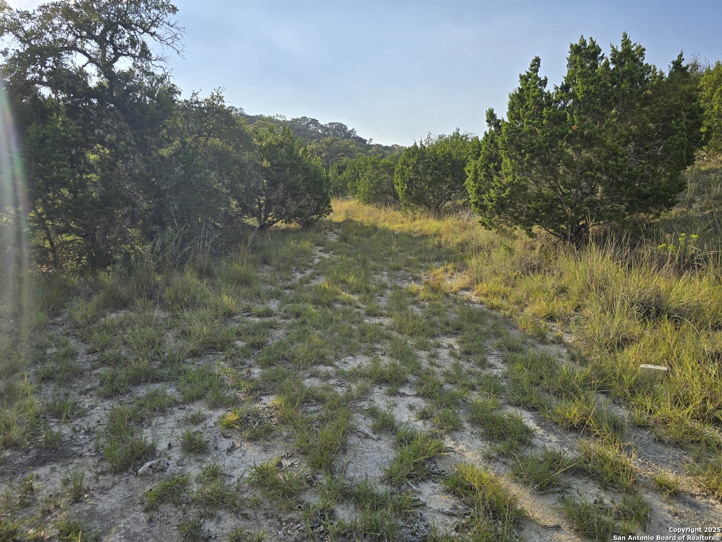 479 Canyon Rim Helotes TX 78023