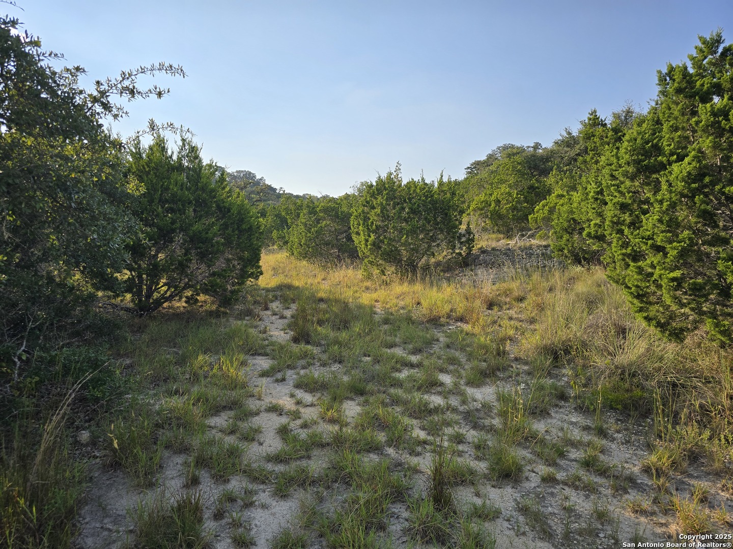 479 Canyon Rim Helotes TX 78023