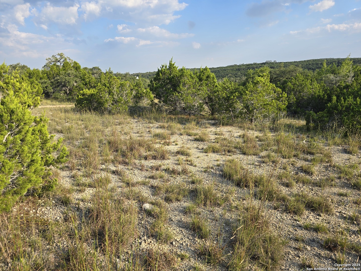 479 Canyon Rim Helotes TX 78023
