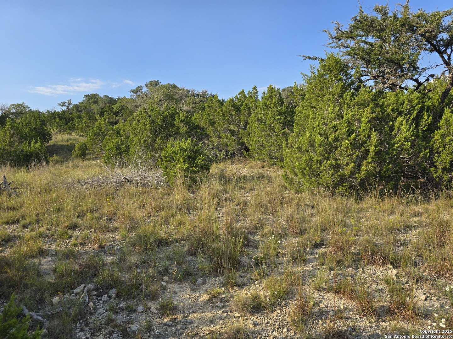 479 Canyon Rim Helotes TX 78023