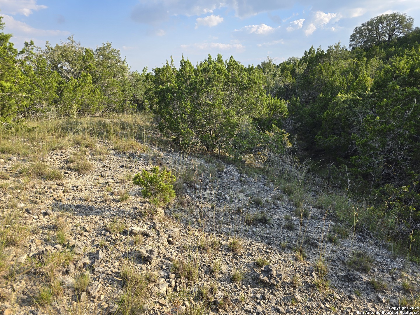 479 Canyon Rim Helotes TX 78023