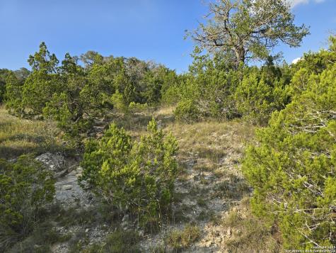 479 Canyon Rim Helotes TX 78023