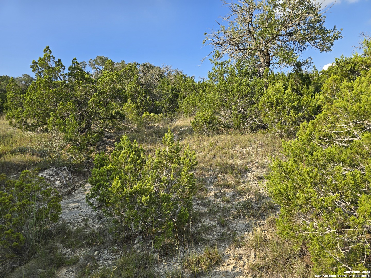 479 Canyon Rim Helotes TX 78023