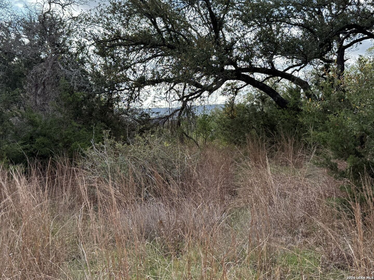 L28 Lipan Apache Run Blanco TX 78606