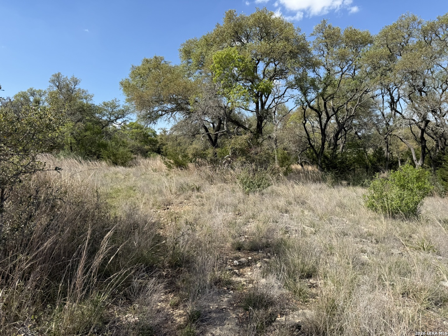 L28 Lipan Apache Run Blanco TX 78606
